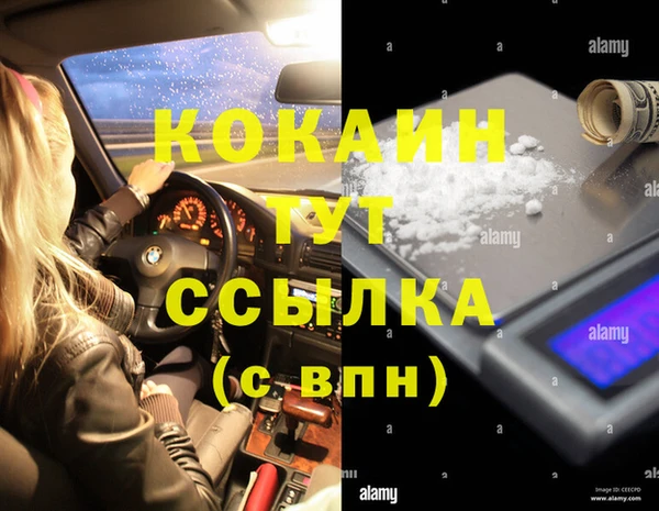 индика Приозерск