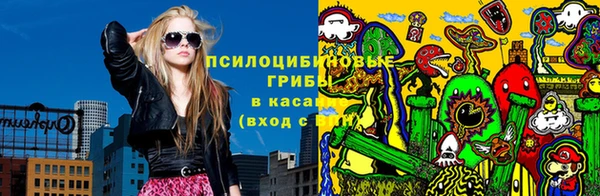 ГАЛЛЮЦИНОГЕННЫЕ ГРИБЫ Пролетарск