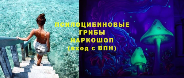 сатива Покровск
