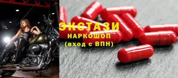 индика Приозерск