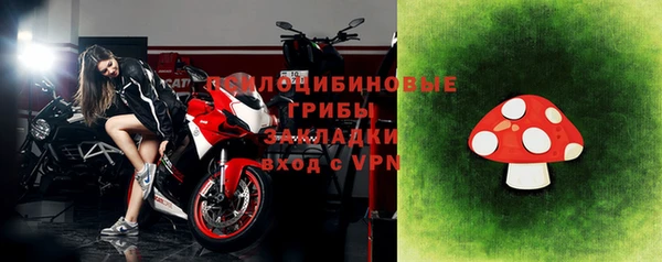бошки Покачи
