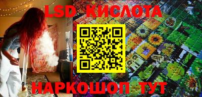 прущие грибы Камышлов