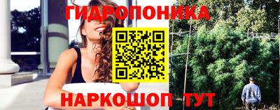 индика Канаш