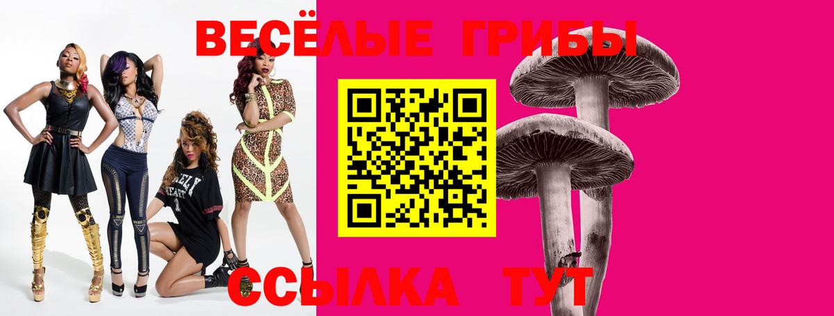 Саяногорск  Галлюциногенные грибы Psilocybe  Вход с VPN 